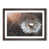 Walnut Framed selected