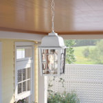 Enloe Outdoor Hanging Lantern