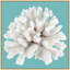Coral Aqua 9' Framed Photographic Print