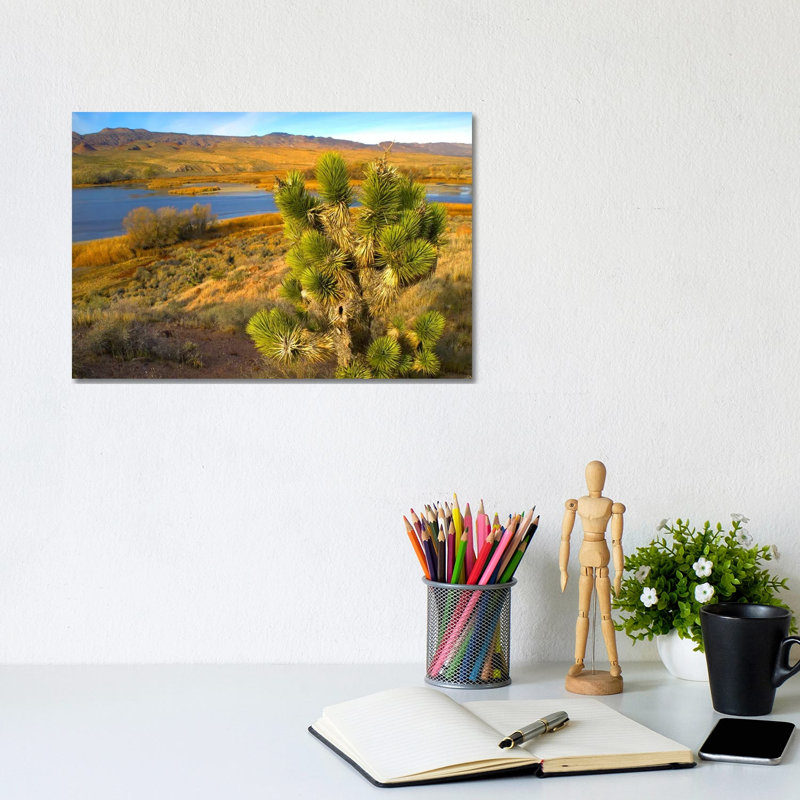 Joshua Tree And Wetlands Along The Pacific Flyway, Pahranagat National Wildlife Refuge, Nevada 1 Piece Wall Art on Canvas