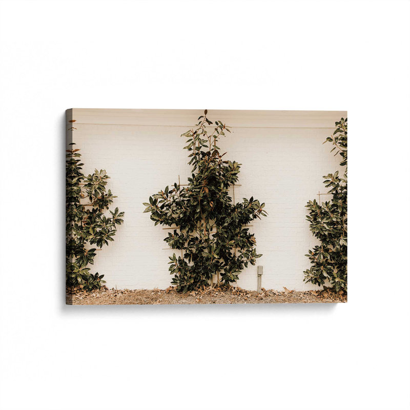 «Green Embrace», reproduction sur toile, Toile tendue, H 20 po x l 30 po x P 1,25 po