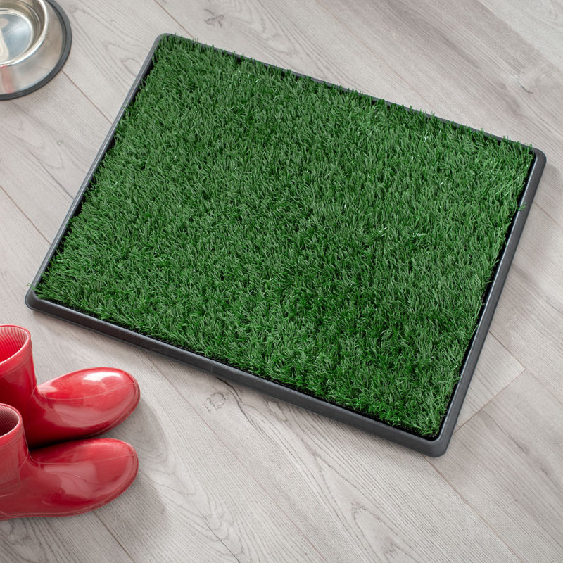 Pasquale Polyester Pet Bed, 50.8cm H x 63.5cm W x 3.5cm D