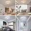Audriauna 2-Light Dimmable Flush Mount Ceiling Light with Remote Control
