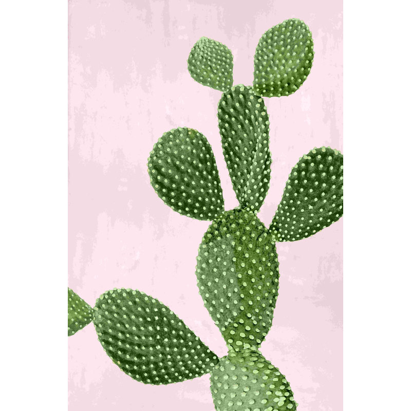 Cactus sur rose VI - Photographie sur toile tendue, H 18 po x l 12 po