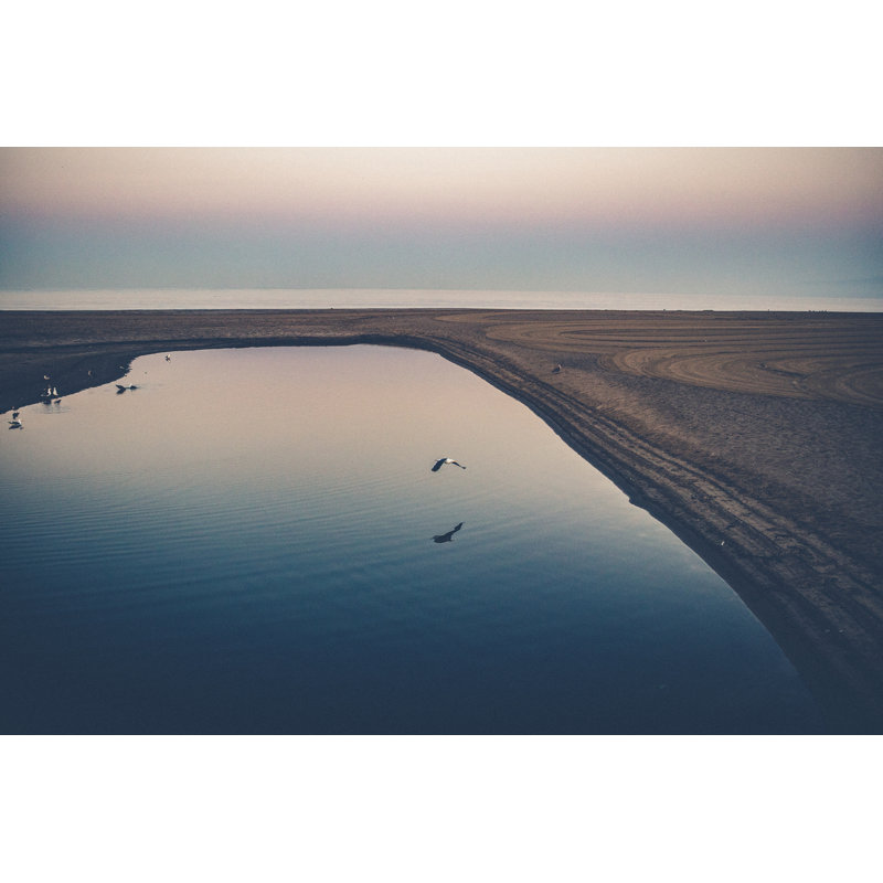 Santa Monica Beach Gulls Print by Alan Scherer, 25.25" H x 31.25" W x 0.875" D