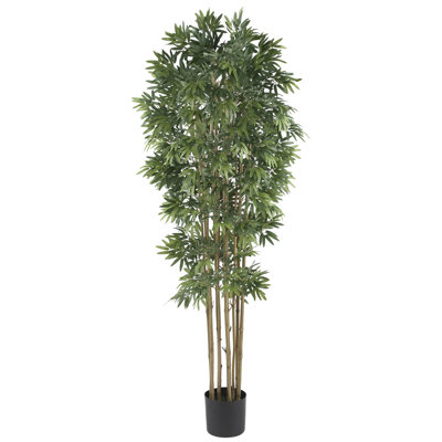 72'' Faux Bamboo Tree in Pot
