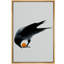 Corbeau X37-105806110-105806112