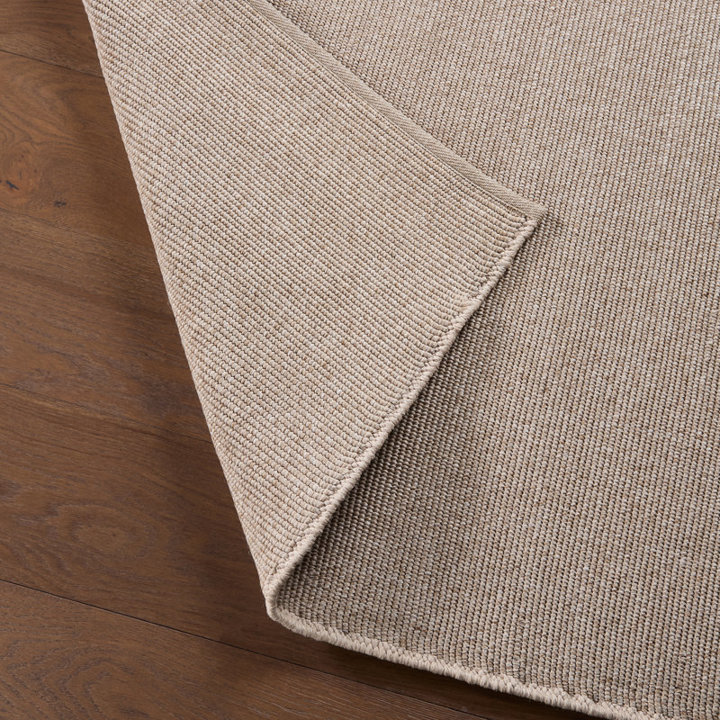 Jaipur Living Texel Indoor/Outdoor Solid Brown Area Rug (6'X9'), Runner 3' x 8'