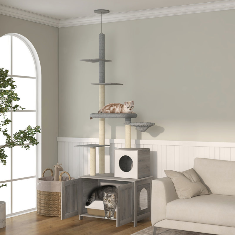 Litière pour chat. Complet avec, lit, poteaux à griffer et plateformes pour la satisfaction intérieure 2 en 1 enceinte - amis félins spacieux