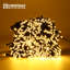 1890cm LED Twinkle Indoor / Outdoor String Lights-102833935