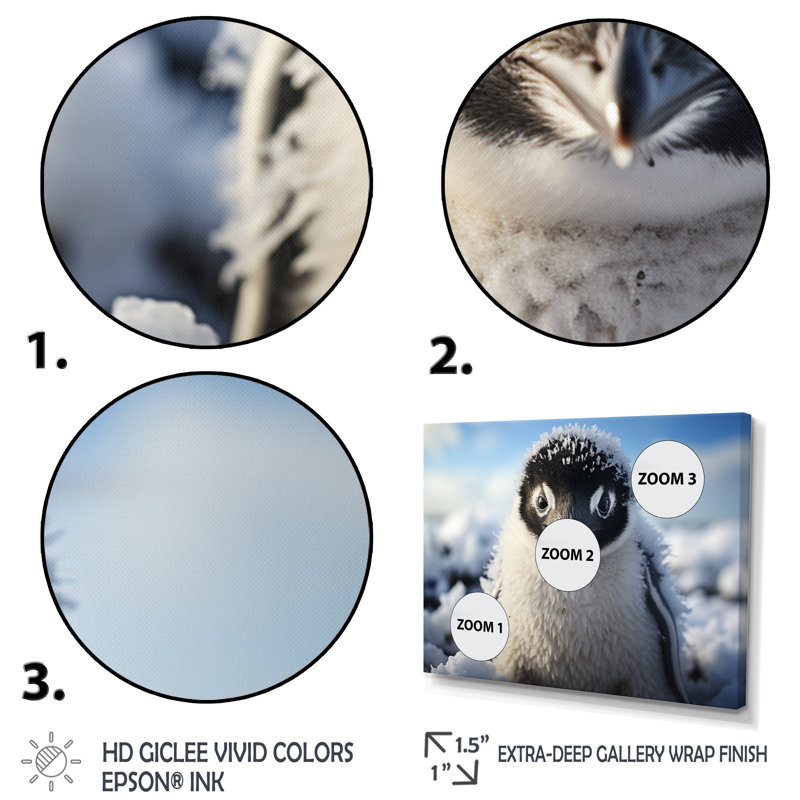 Pingouin adorable pingouin I sur toile, Cadre simple noir, H 16 po x l 32 po x P 1 po