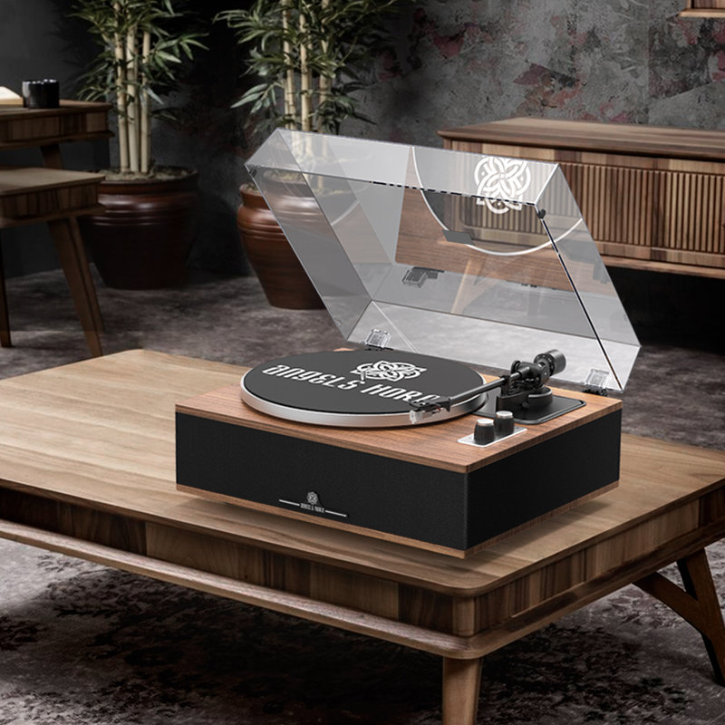 Platine et ceinture Hi-Fi Bluetooth