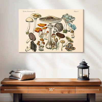 Champignons comestibles Yarlin