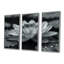 Lotus gris photo élégante silhouette II - ensemble de décoration murale lotus-1099277392-1099277384