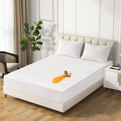 Presley Waterproof Fitted Mattress Protector Case Pack