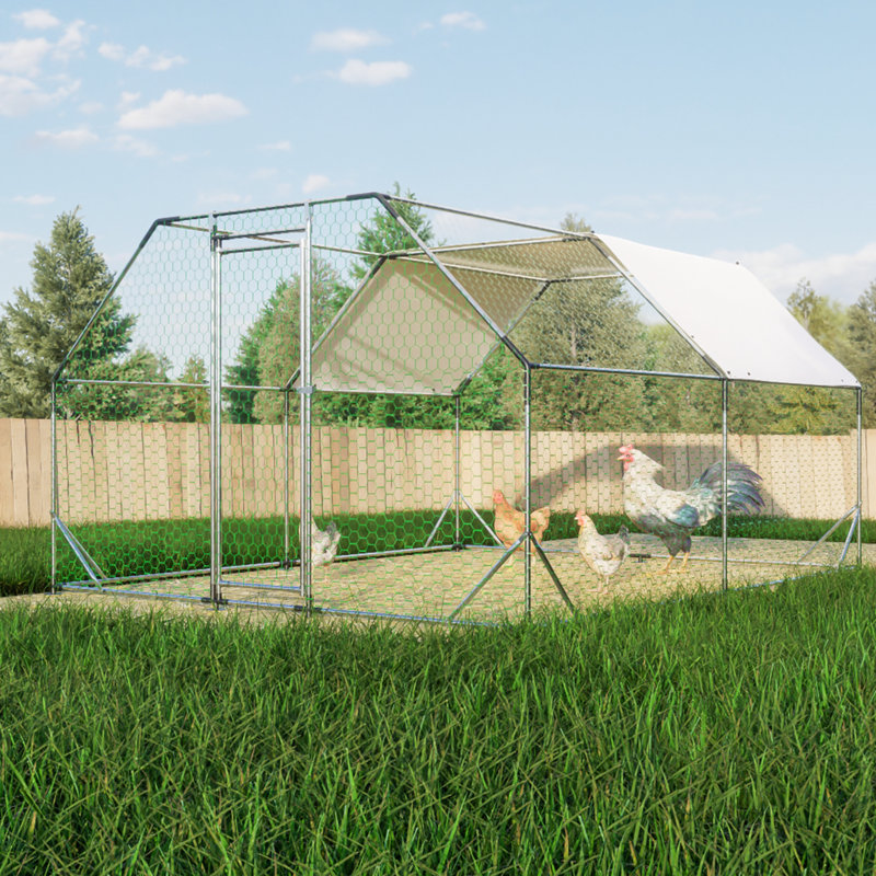 Grand poulailler en métal galvanisé avec structure de protection pour bâche et structure