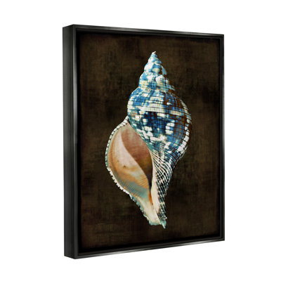 Conception d'art moderne sur toile flottante encadrée de coquillage moderne par Caroline Kelly