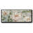 Summer Serenade- Framed Canvas-709275637
