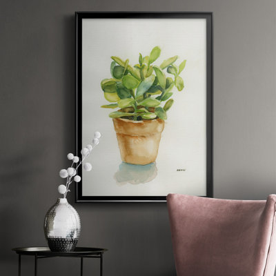 #VALUE! " Succulent "