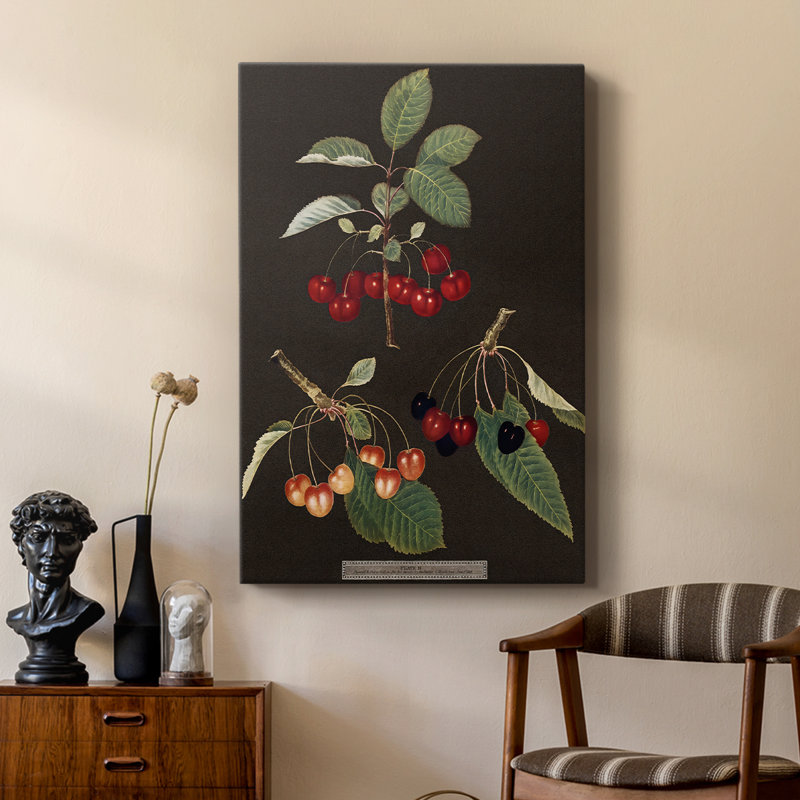 Brookshaw Cherries - galerie sur mesure, H 27 po x l 18 po