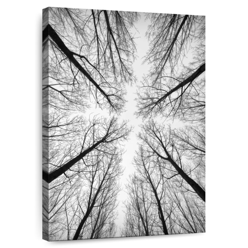 Harnek Monochrome Bare Trees, 45" H x 30" W