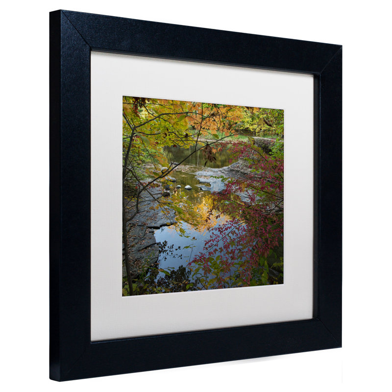 Autumn Trees Over Pond Framed Canvas Art with Black Frame