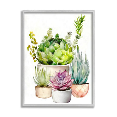 " Varied Succulent Garden Plants " by Ziwei Li