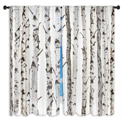 Reasilvia Room Darkening Curtain Pair