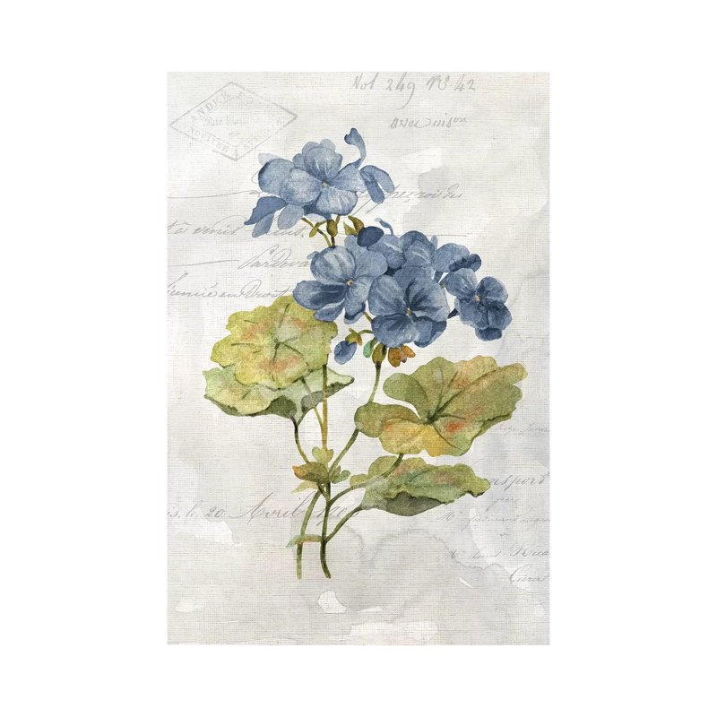 Blue Linen Geranium by Carol Robinson - Wrapped Canvas Print, 101.6 cm H x 66.04 cm W x 1.91 cm D