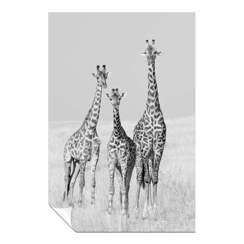 Giraffe Family - No Frame Print, 31cm H x 20cm W x 0.5cm D