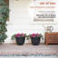Shiye Pot Planter-66653519
