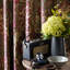Seaweed Fabric-65407816