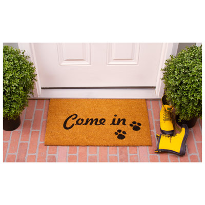 Antuane Non-Slip Outdoor Doormat