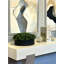 Boxwood 6" Artificial in Fiberstone Planter
