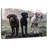 Brampt Labrador Dogs-107680567