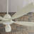 Ximena 56'' Ceiling Fan with Light Kit-33199860