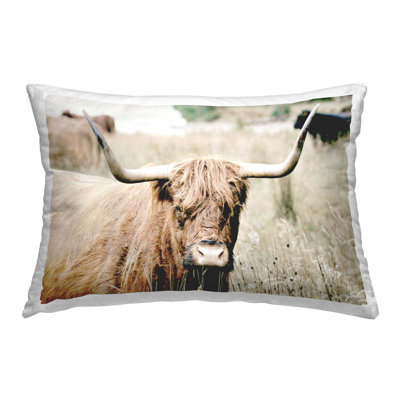 Highland Cattle in Field Decorative Printed Throw Pillow Design by Sd Graphics Studio