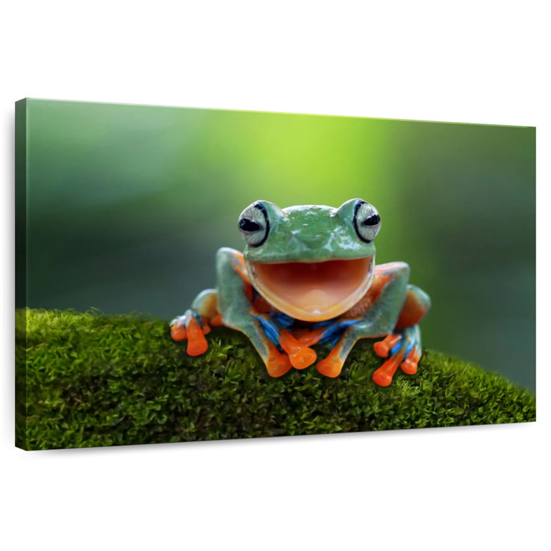 Joyeuse rainette Brampt, H 32 po x l 48 po