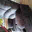 Photos des clients 2 de 3