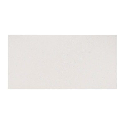 Andaz 12" x 24" Terrazzo Look Porcelain Floor & Wall Tile