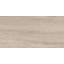 Esplanade 12" x 24" Porcelain Stone Look Wall & Floor Tile