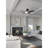 54'' Ceiling Fan with LED Lights-23338585