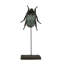 Small June Beetle on Stand
