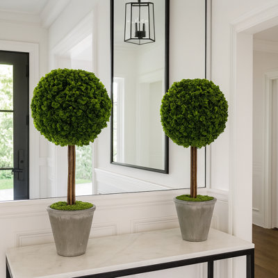 Paire de plantes topiaires en pot 17 po
