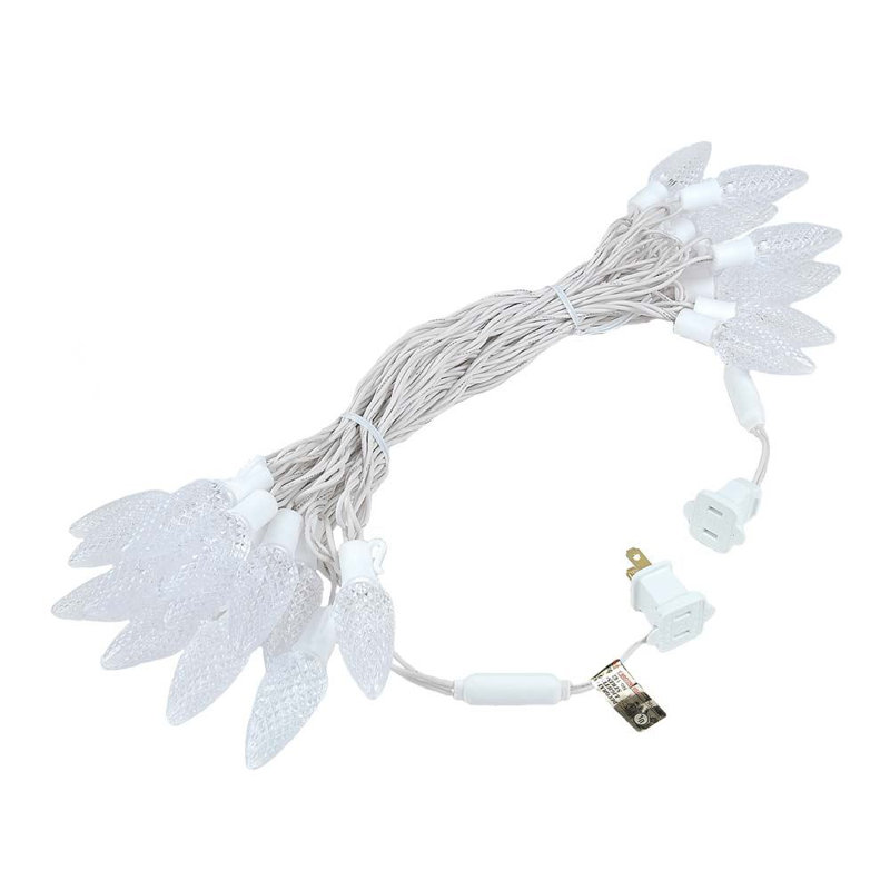 Speicher Outdoor 25 - Bulb 25'' Plug-in Novelty String Light, White, White/Clear