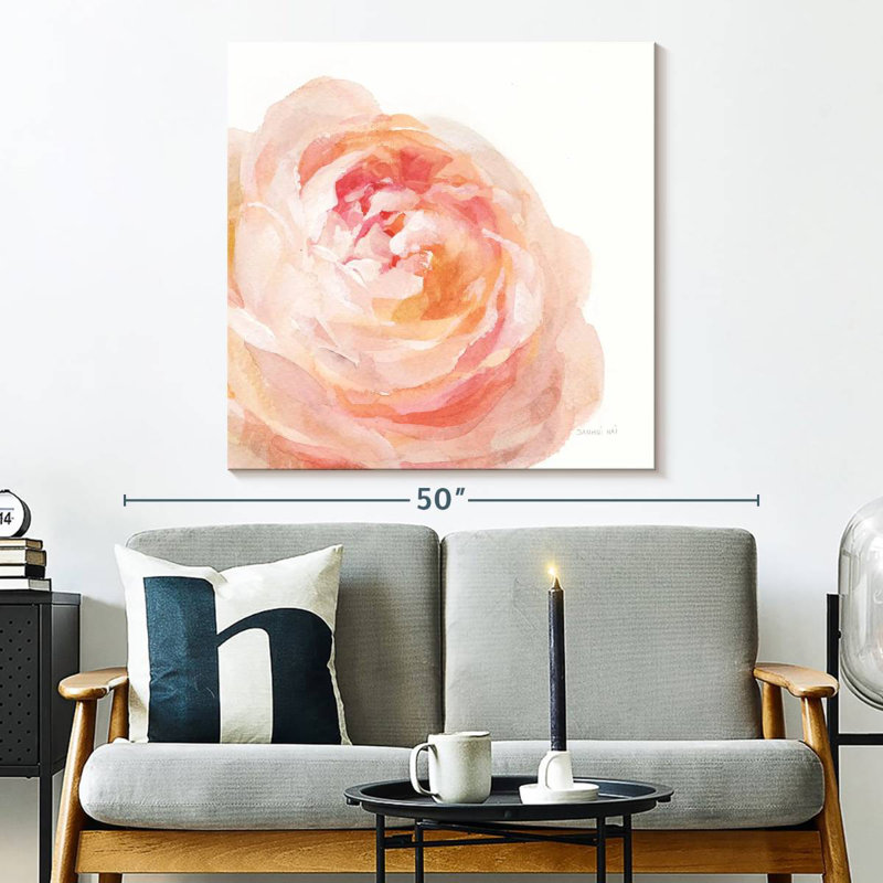 Rose de jardin sur fond blanc, H 33 po x l 33 po