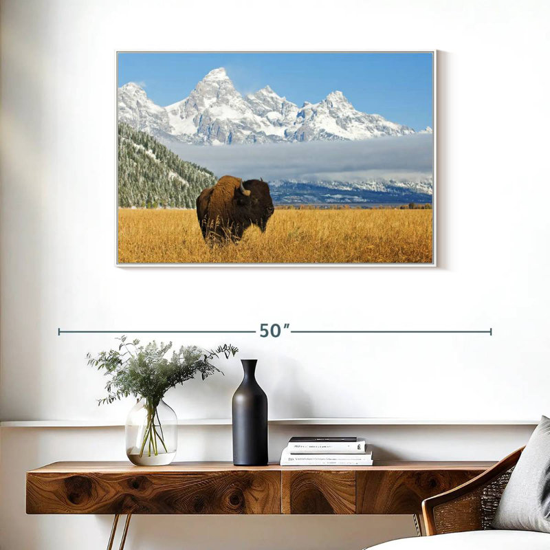 Grand Teton Bison Bull, Cadre flottant blanc, 37 po x 25 po