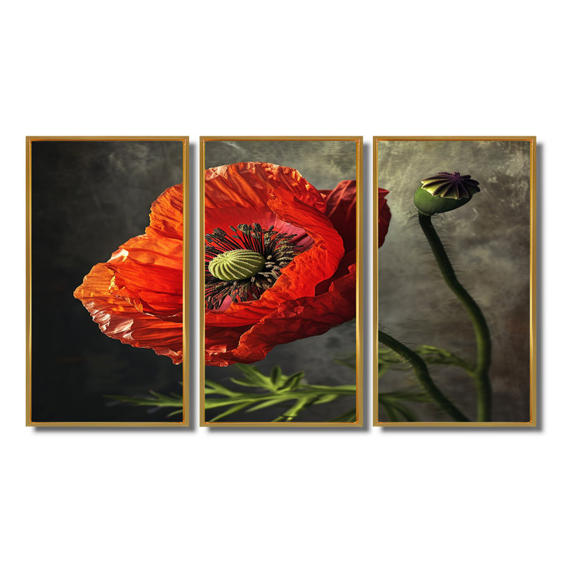 Gros plan sur le coquelicot rouge - ensemble de salon art mural coquelicot, Cadre flottant doré, H 40 po x l 60 po x P 1 po