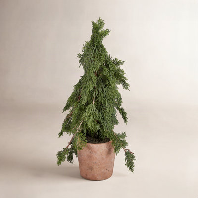 18'' Faux Cedar Tree in Ceramic Pot