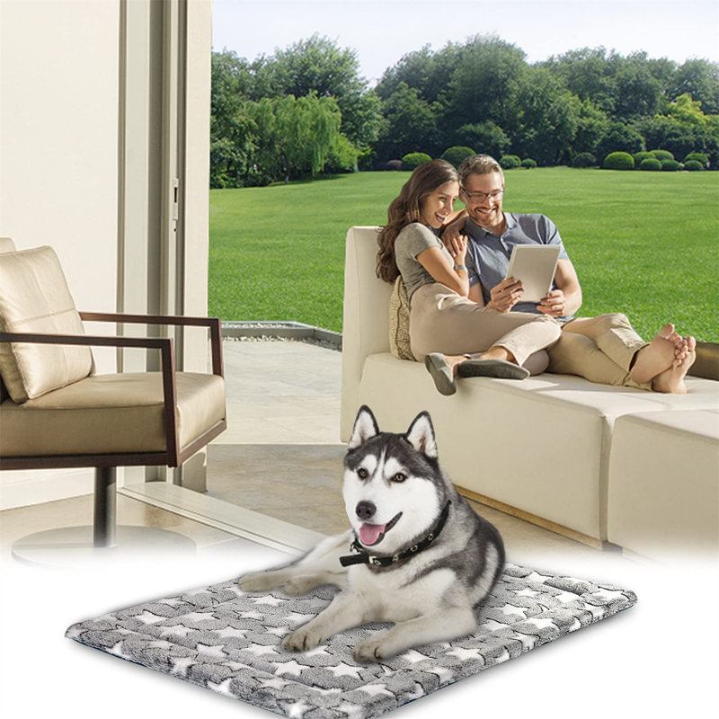 Beachwood Geometric Orthopedic Suede Pet Bed